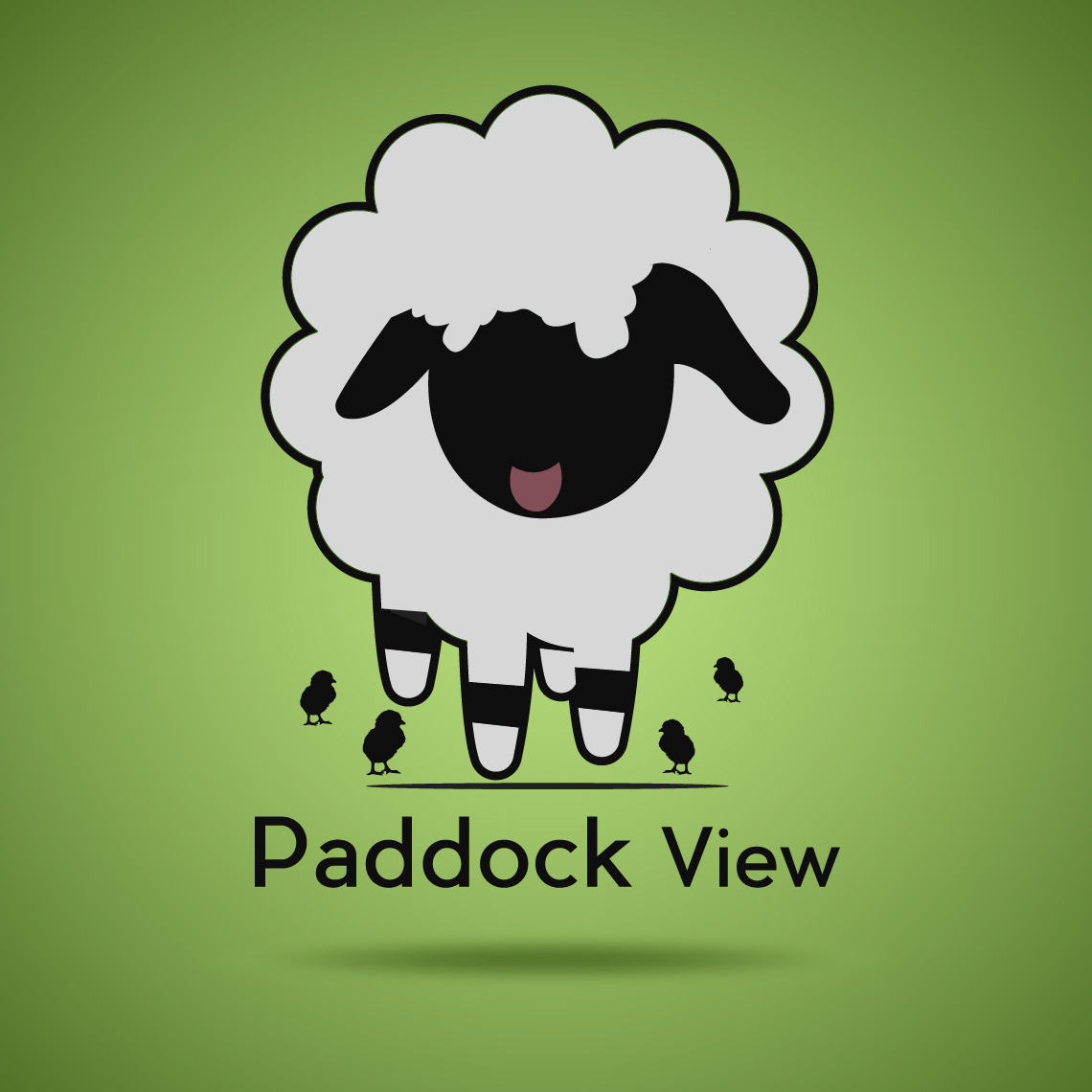 paddock view
